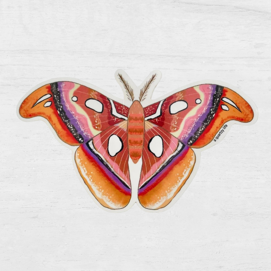 Brown Moth Sticker
