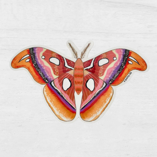 Brown Moth Sticker